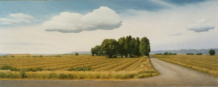 L4.10 - farm road, CO